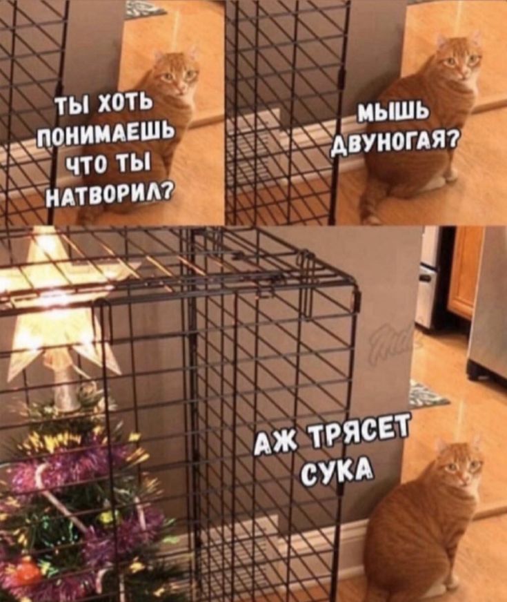 Обреченный жимовик - Бодибилдинг форум AnabolicShops