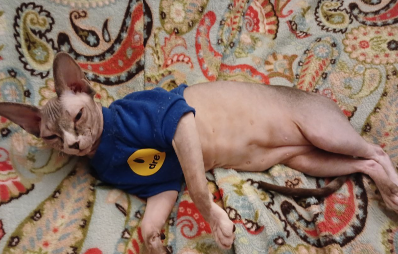 Курилка- разговоры на любые темы - Бодибилдинг форум AnabolicShops