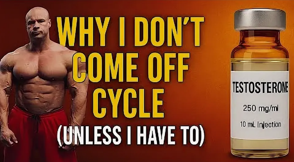 RoidTeam - Дистрибьютор Hilma Biocare и HGH Marten в России - Бодибилдинг форум AnabolicShops