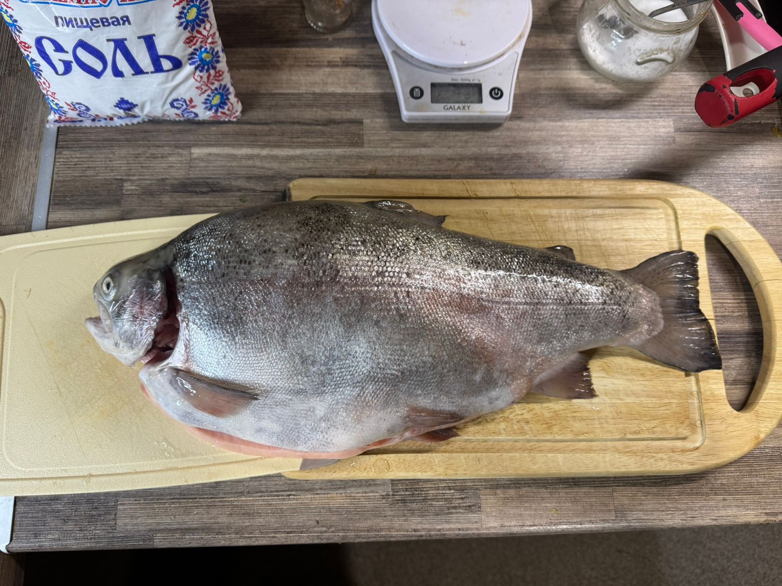 ProjectX - твой надежный поставщик! - Бодибилдинг форум AnabolicShops