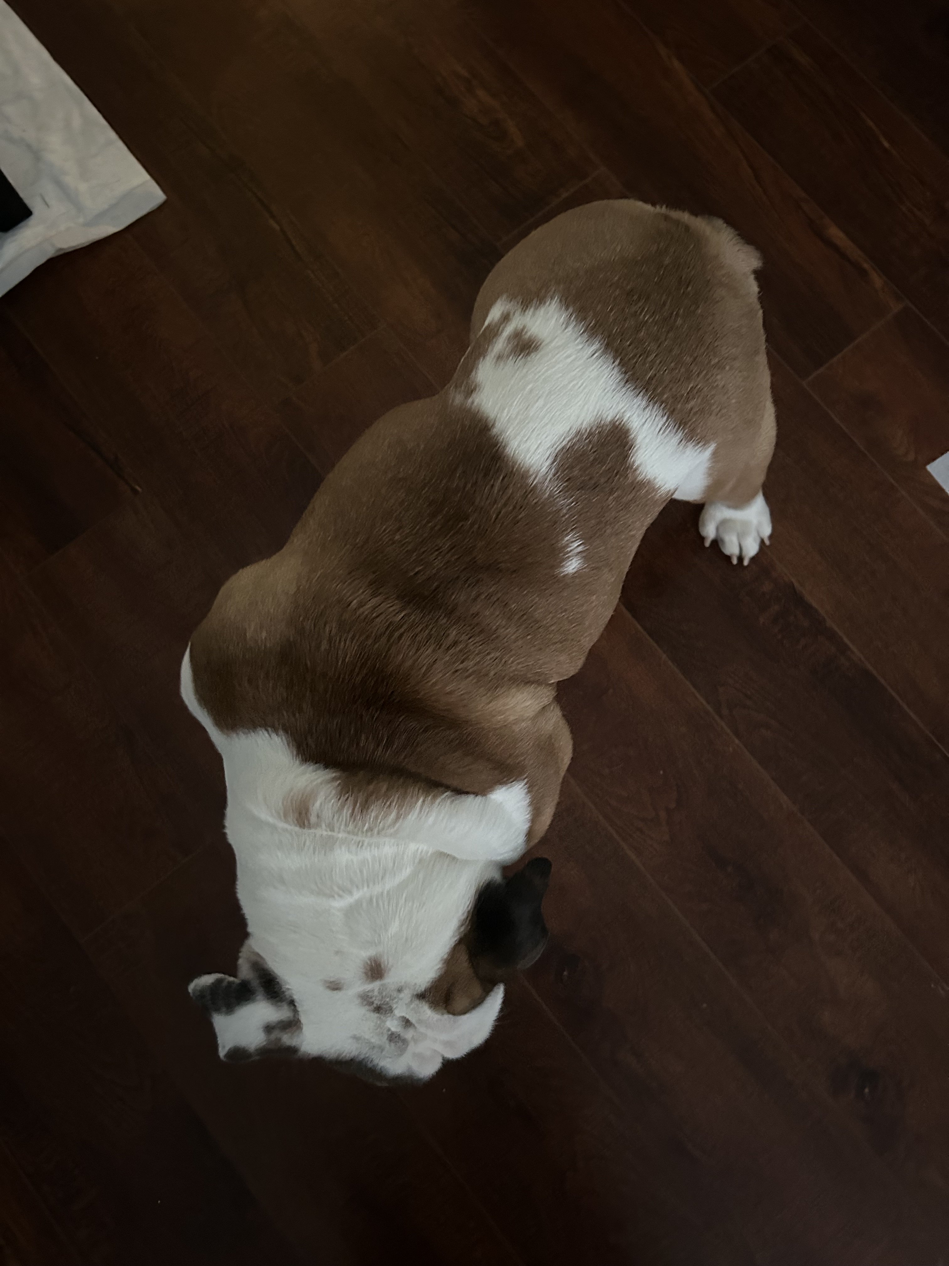 Курилка- разговоры на любые темы - Бодибилдинг форум AnabolicShops