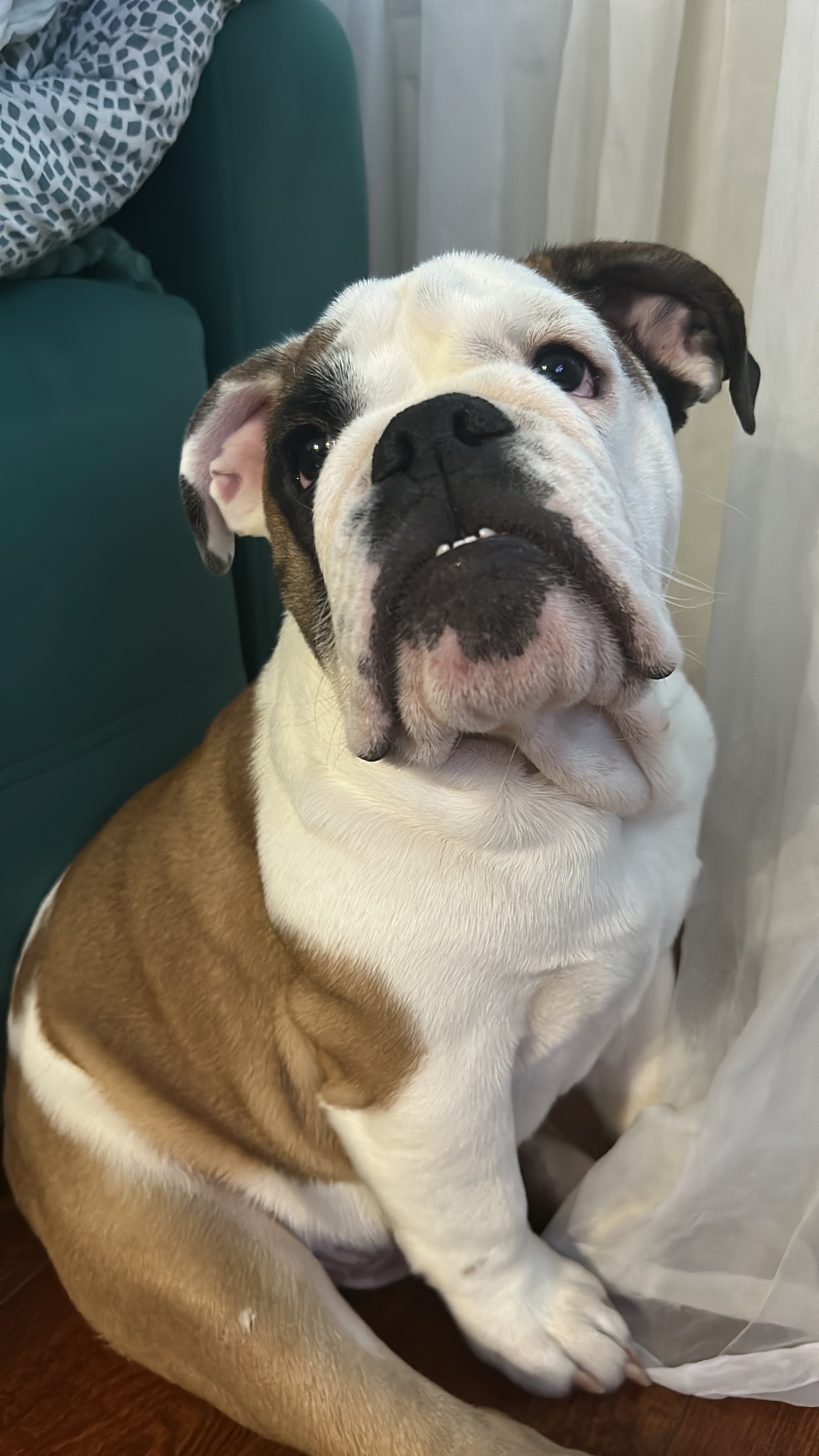 Курилка- разговоры на любые темы - Бодибилдинг форум AnabolicShops