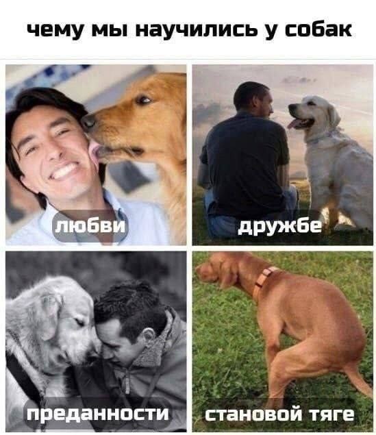 Курилка- разговоры на любые темы - Бодибилдинг форум AnabolicShops