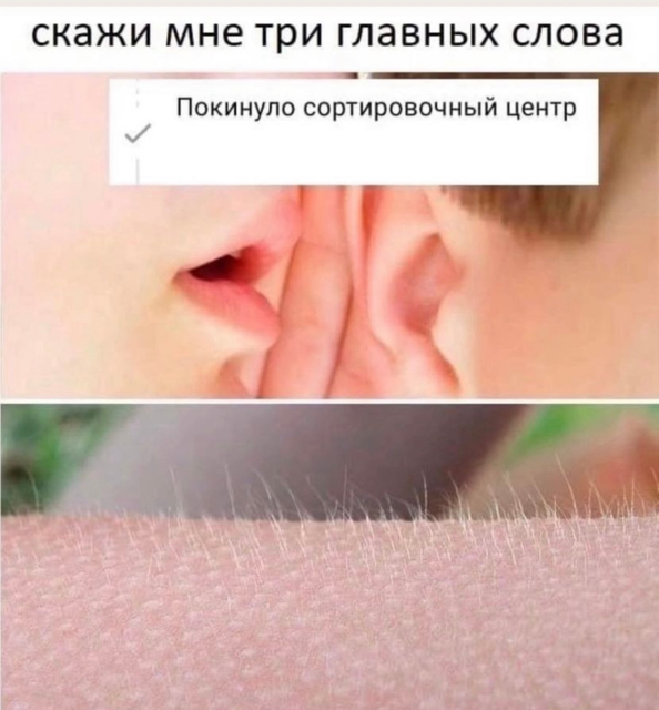 RoidTeam - Дистрибьютор Hilma Biocare и HGH Marten в России - Бодибилдинг форум AnabolicShops