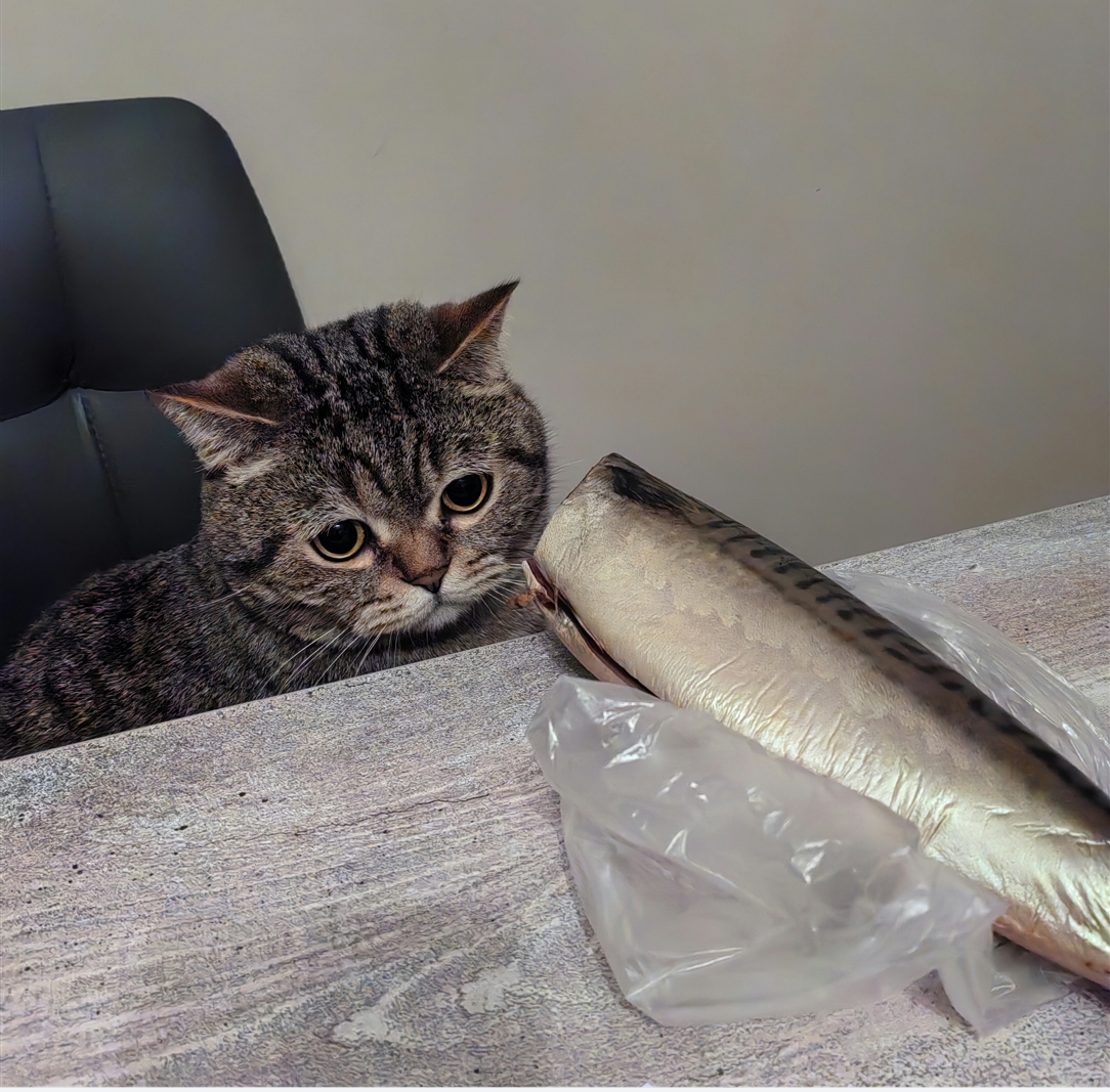 Мои домашние питомцы - Бодибилдинг форум AnabolicShops