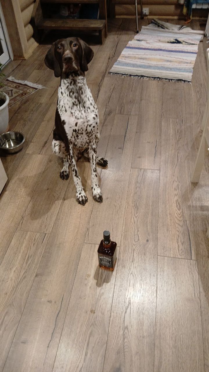 Мои домашние питомцы - Бодибилдинг форум AnabolicShops