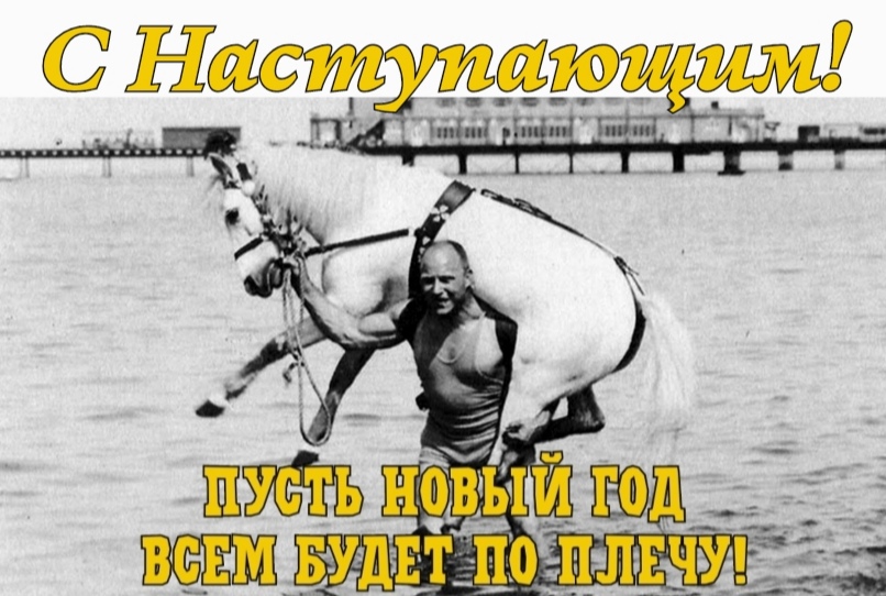 АНАБОЛИКИ.net - оф.дилер SP, Zerox, Genetic, Magnus, Lyka ! - Бодибилдинг форум AnabolicShops