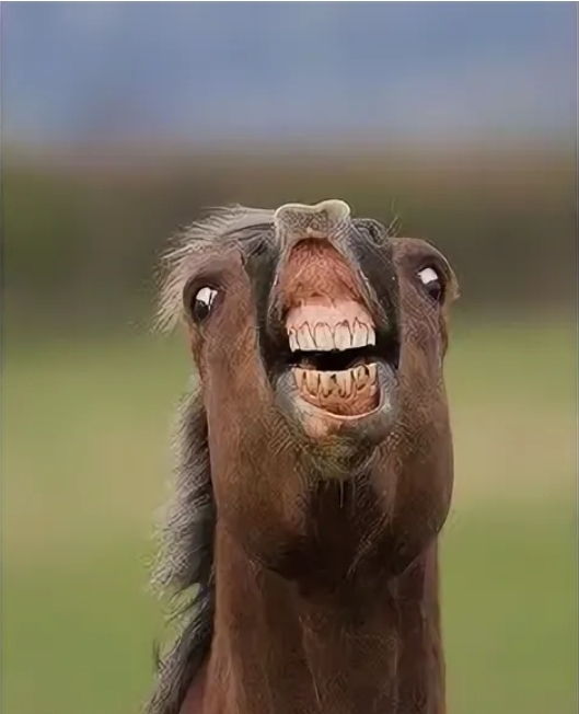 Курилка- разговоры на любые темы - Бодибилдинг форум AnabolicShops