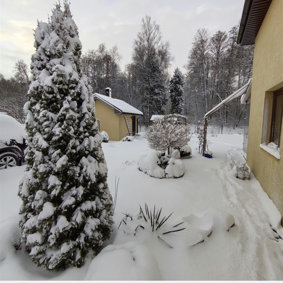 Курилка- разговоры на любые темы - Бодибилдинг форум AnabolicShops