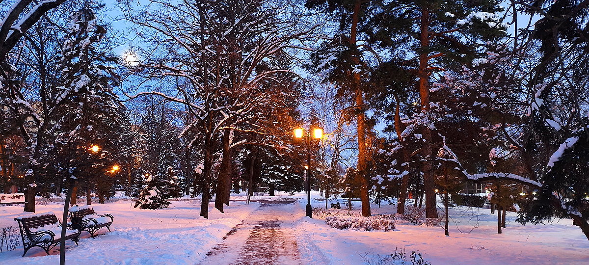 RoidTeam - Дистрибьютор Hilma Biocare и HGH Marten в России - Бодибилдинг форум AnabolicShops