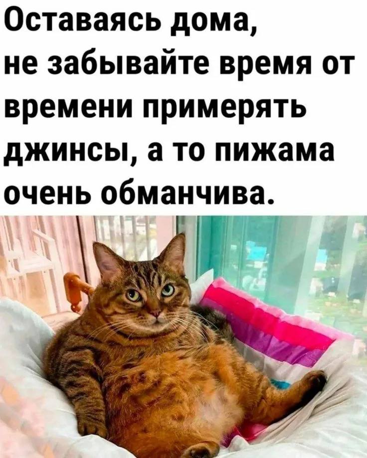 Курилка- разговоры на любые темы - Бодибилдинг форум AnabolicShops