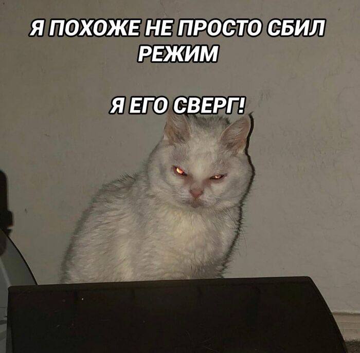 Курилка- разговоры на любые темы - Бодибилдинг форум AnabolicShops