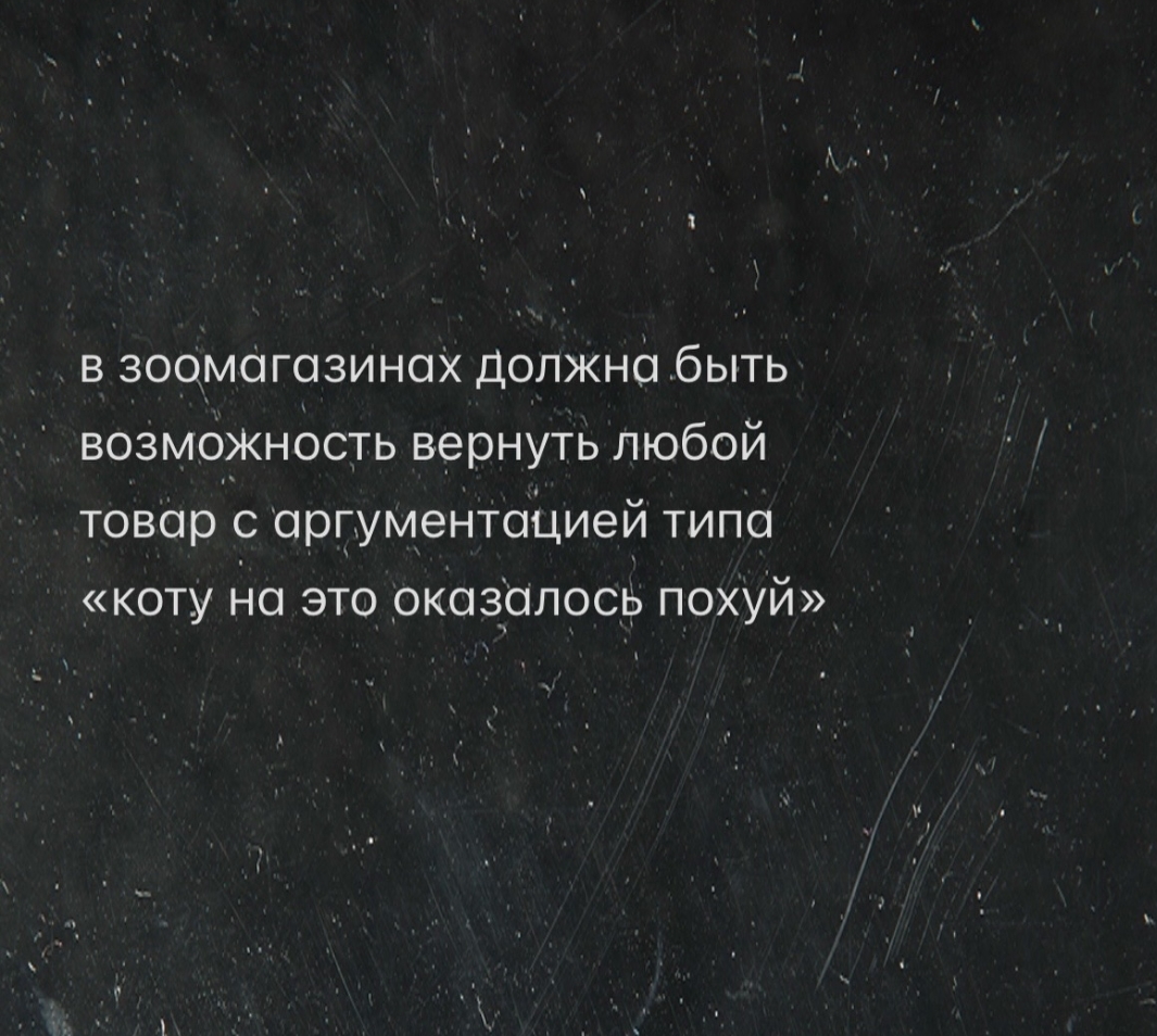 Мои домашние питомцы - Бодибилдинг форум AnabolicShops