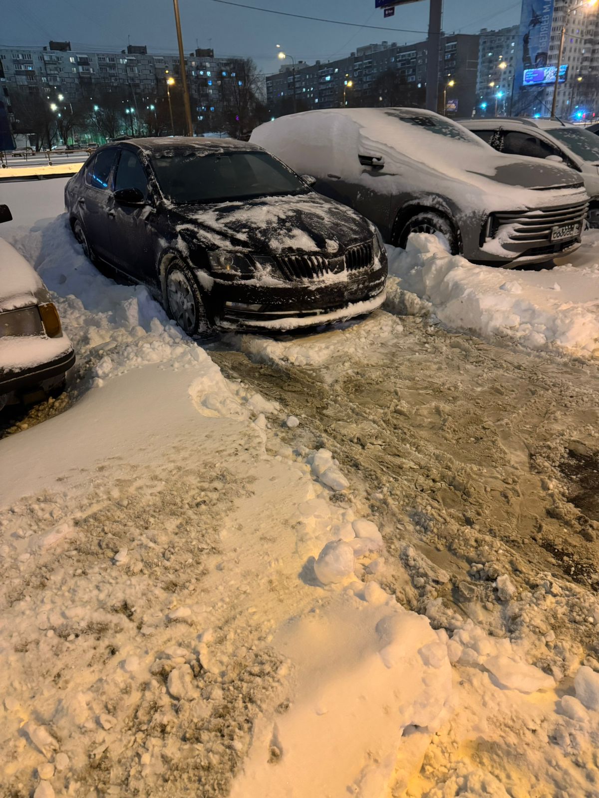 ProjectX - твой надежный поставщик! - Бодибилдинг форум AnabolicShops