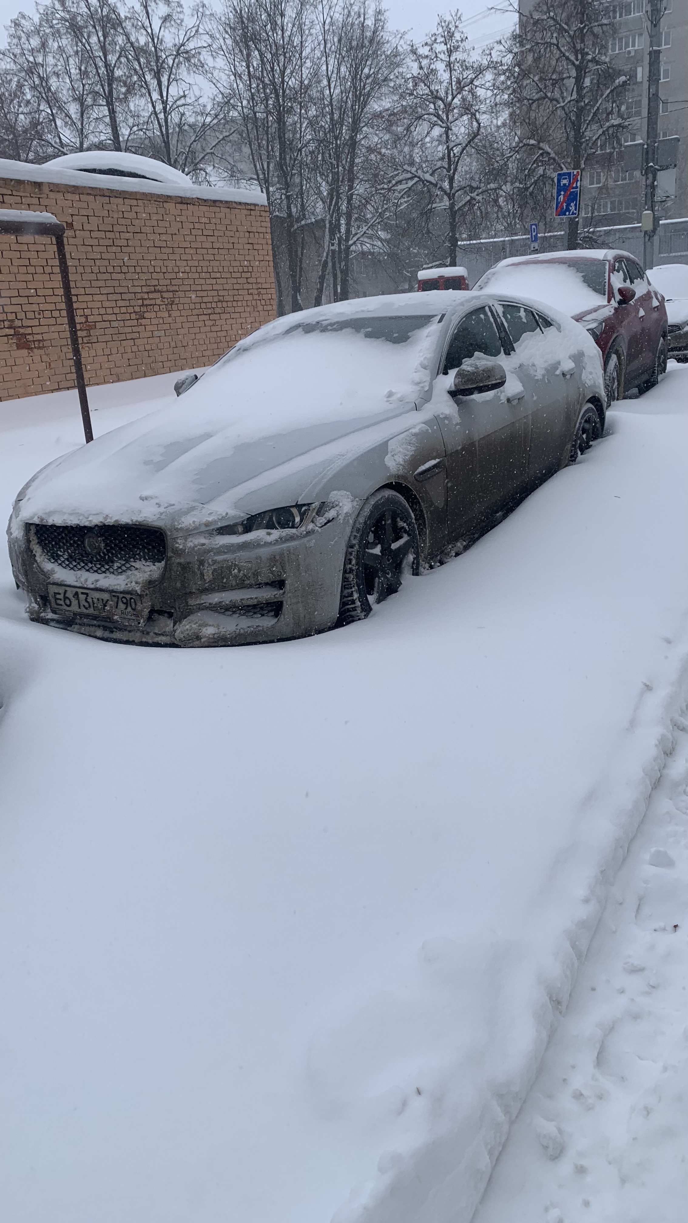 ProjectX - твой надежный поставщик! - Бодибилдинг форум AnabolicShops