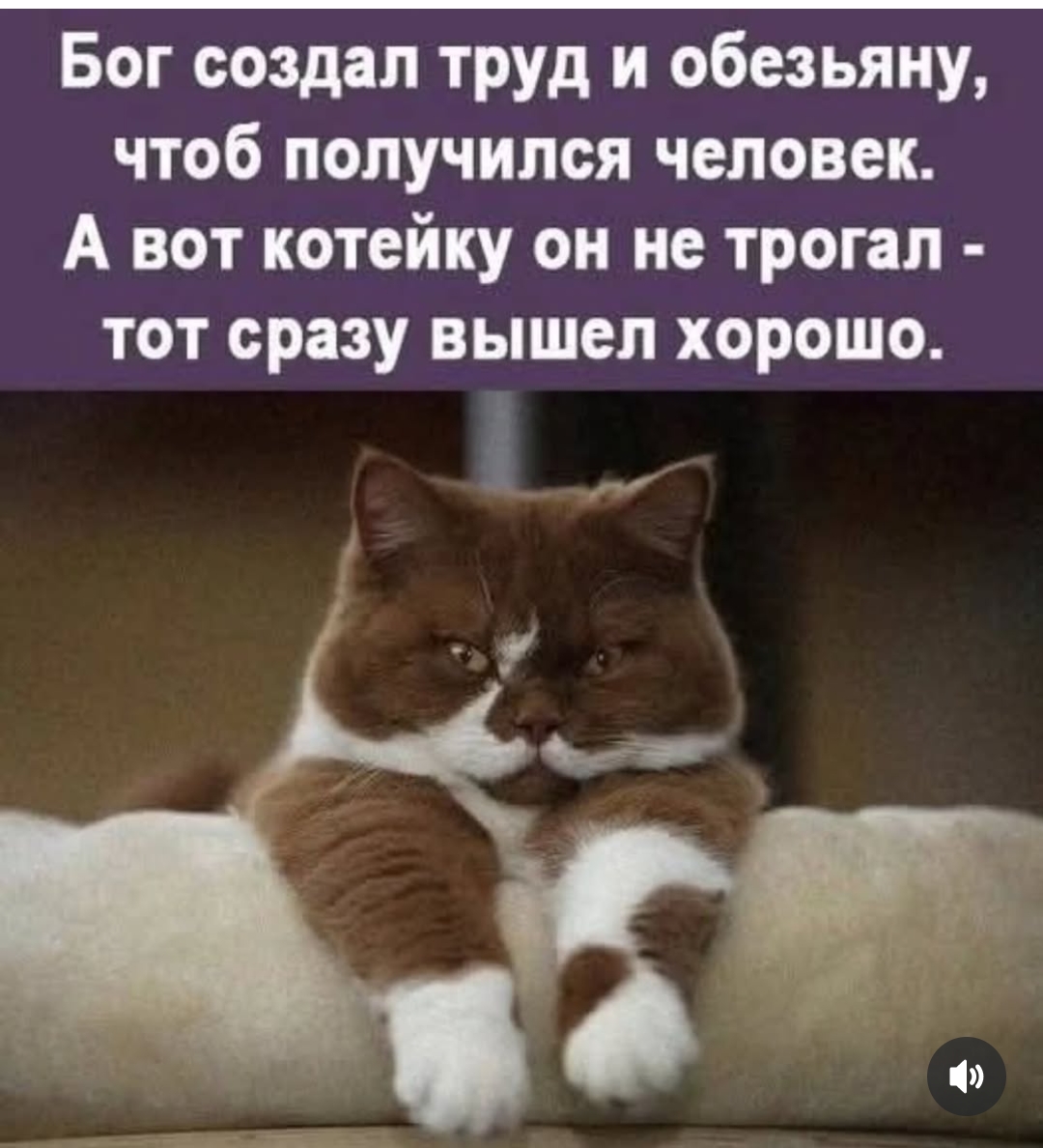 Мои домашние питомцы - Бодибилдинг форум AnabolicShops