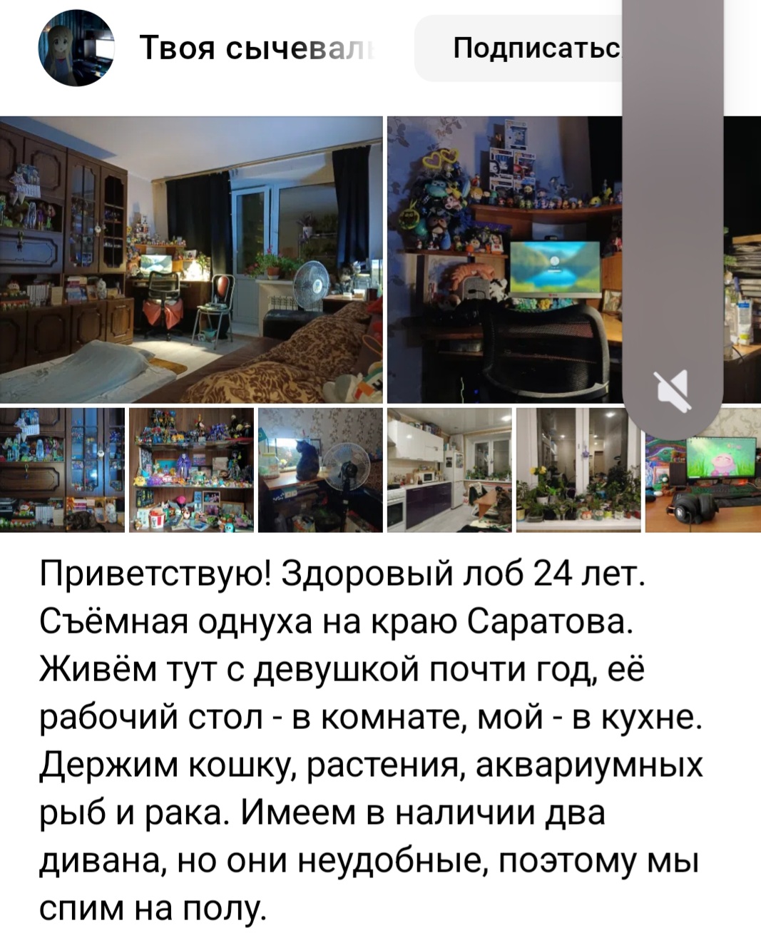 Курилка- разговоры на любые темы - Бодибилдинг форум AnabolicShops