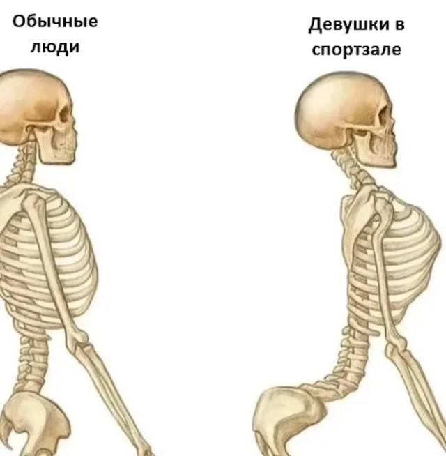 Курилка- разговоры на любые темы - Бодибилдинг форум AnabolicShops