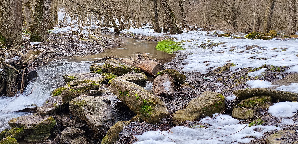 RoidTeam - Дистрибьютор Hilma Biocare и HGH Marten в России - Бодибилдинг форум AnabolicShops