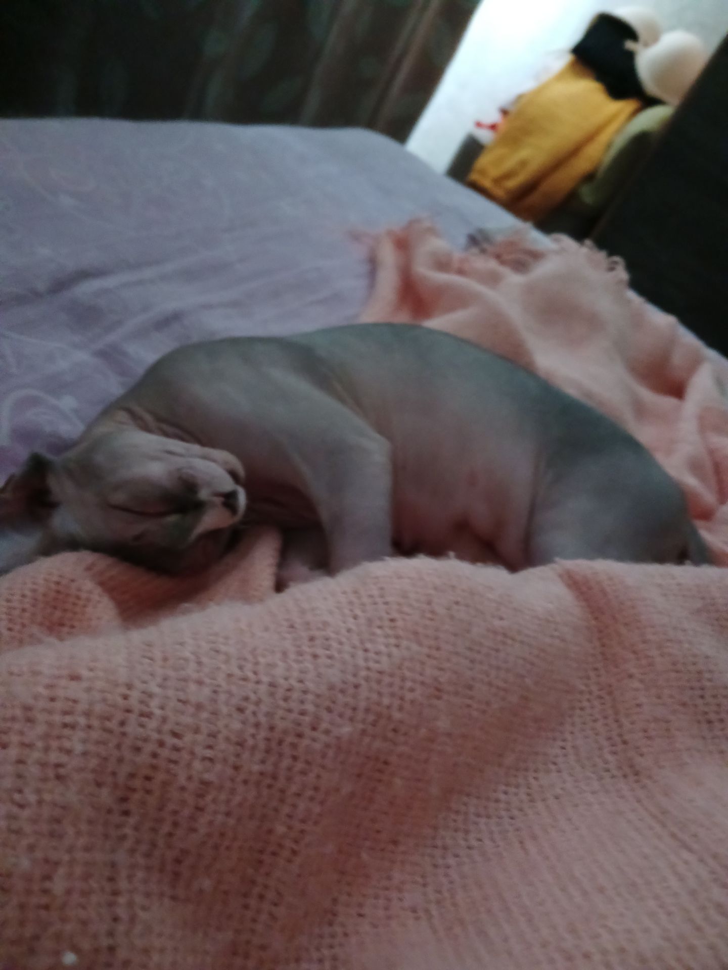 Курилка- разговоры на любые темы - Бодибилдинг форум AnabolicShops