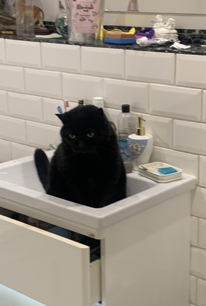 Мои домашние питомцы - Бодибилдинг форум AnabolicShops