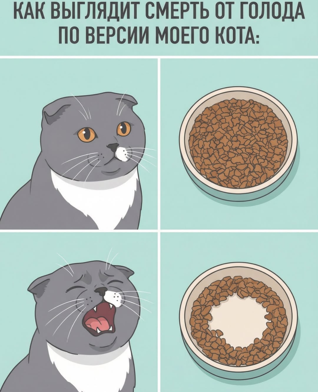 Мои домашние питомцы - Бодибилдинг форум AnabolicShops