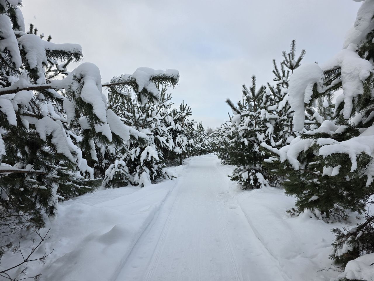 Курилка- разговоры на любые темы - Бодибилдинг форум AnabolicShops