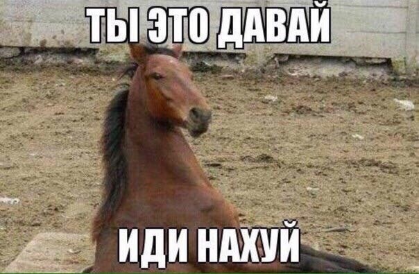 Курилка- разговоры на любые темы - Бодибилдинг форум AnabolicShops