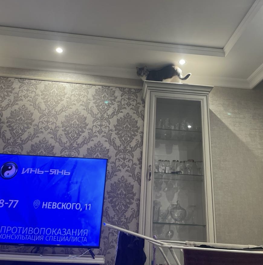 Мои домашние питомцы - Бодибилдинг форум AnabolicShops