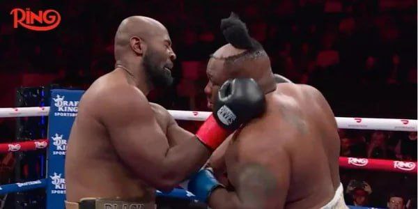 Дайджест от 28.01.2026. - Бодибилдинг форум AnabolicShops