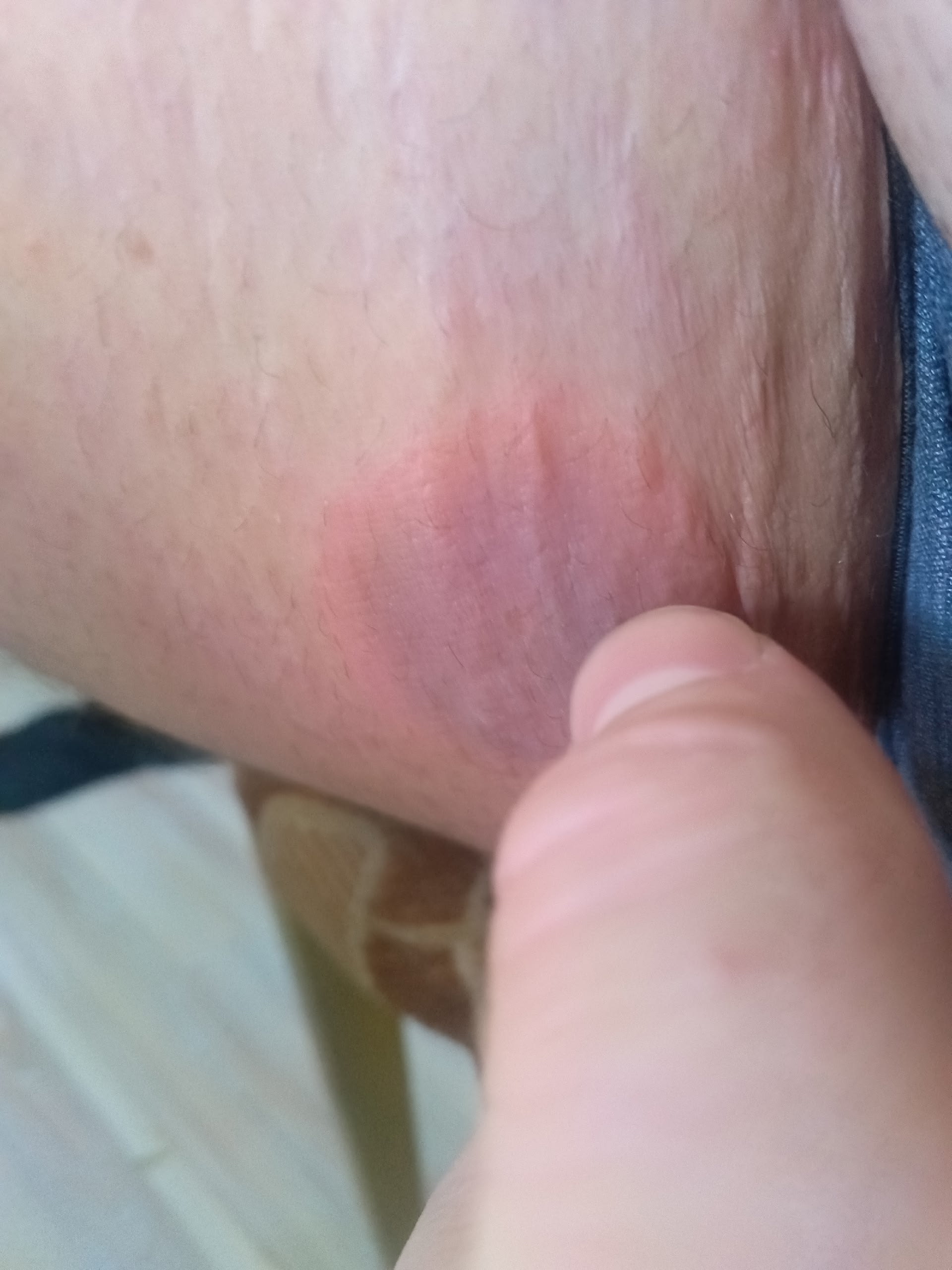 Курилка- разговоры на любые темы - Бодибилдинг форум AnabolicShops