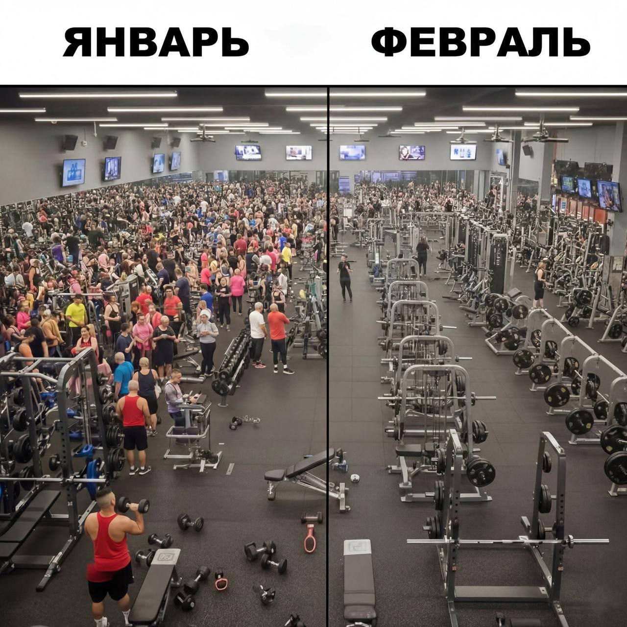 Курилка- разговоры на любые темы - Бодибилдинг форум AnabolicShops