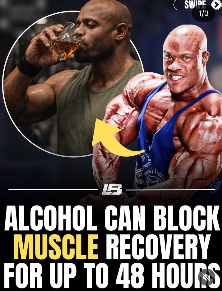 Дайджест от 12.02.2026. - Бодибилдинг форум AnabolicShops