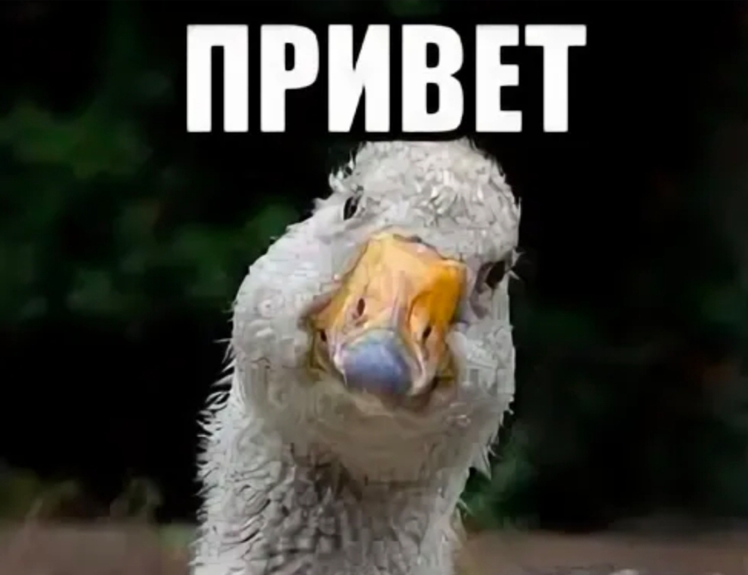 Курилка- разговоры на любые темы - Бодибилдинг форум AnabolicShops