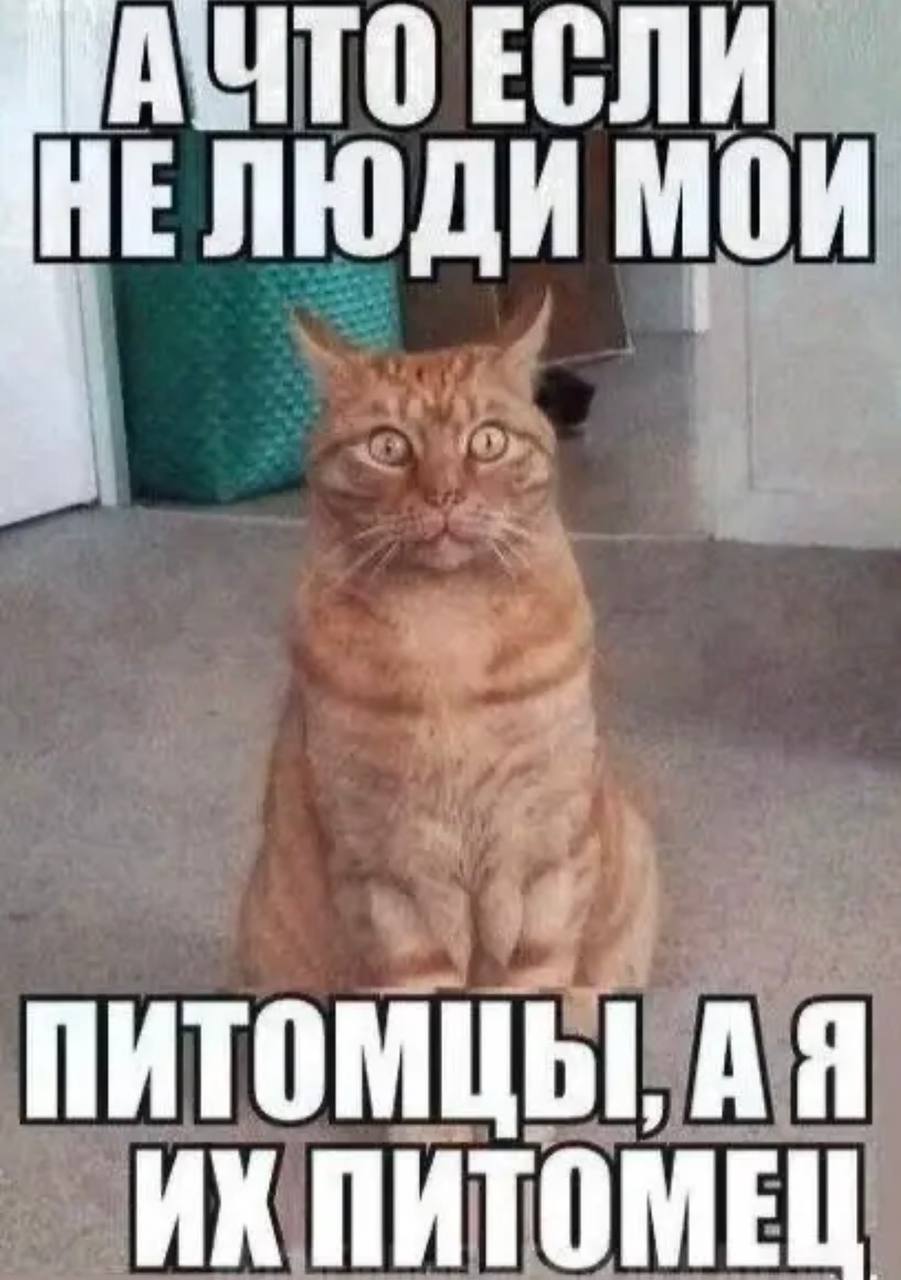 Мои домашние питомцы - Бодибилдинг форум AnabolicShops