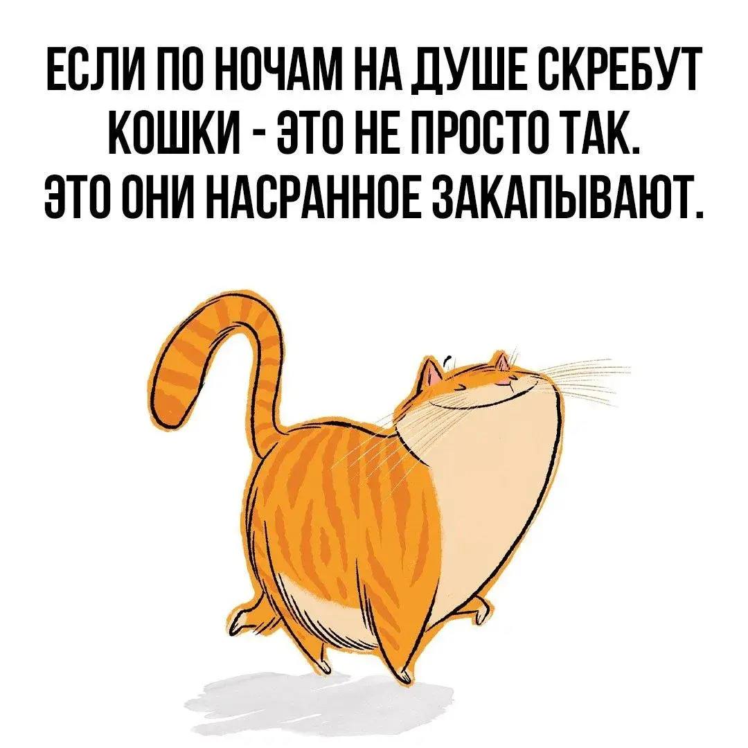 Мои домашние питомцы - Бодибилдинг форум AnabolicShops