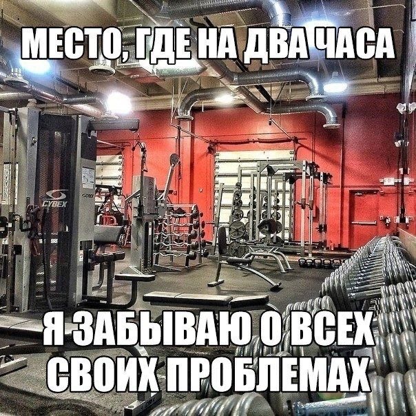 Hilma PRO - с заботой о вашем здоровье! - Бодибилдинг форум AnabolicShops