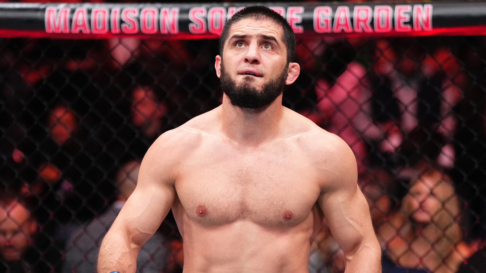 Новости из мира ММА и единоборств - Бодибилдинг форум AnabolicShops