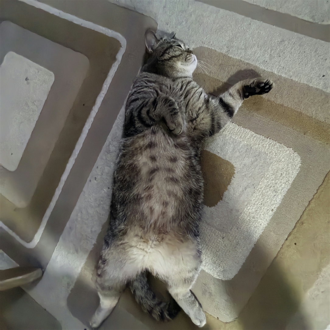 Мои домашние питомцы - Бодибилдинг форум AnabolicShops