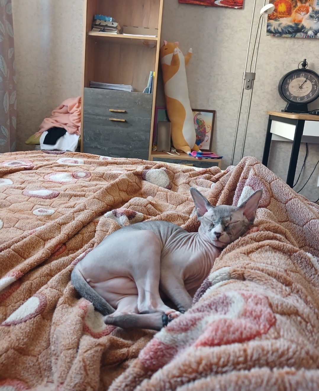 Мои домашние питомцы - Бодибилдинг форум AnabolicShops