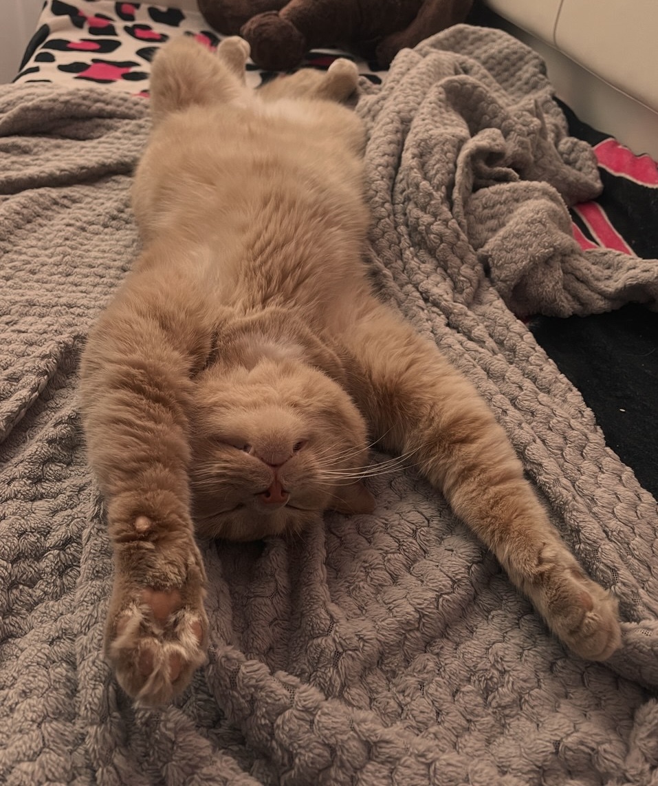 Курилка- разговоры на любые темы - Бодибилдинг форум AnabolicShops