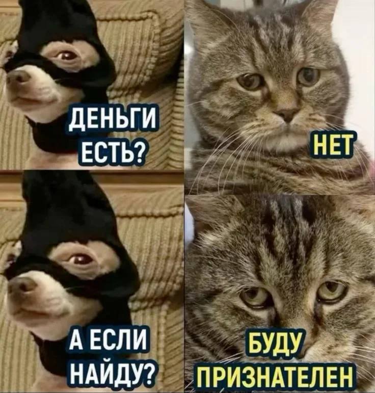 Курилка- разговоры на любые темы - Бодибилдинг форум AnabolicShops