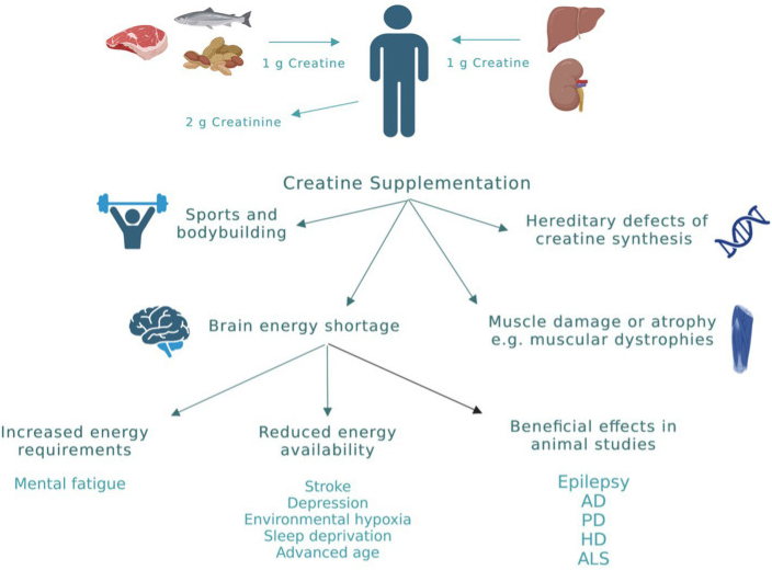 Спортивная медицина - Бодибилдинг форум AnabolicShops