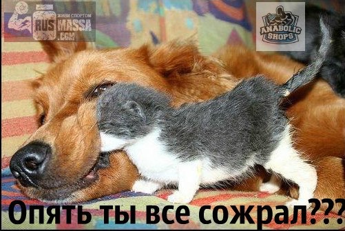 "Конкурс на лучшую картинку-демотиватор" - Бодибилдинг форум AnabolicShops