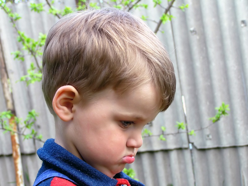 Магазин Фрэнка. Pharmacom Labs Official. Марка №1 в Мире! - Бодибилдинг форум AnabolicShops