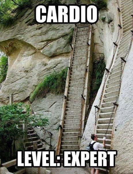 Магазин Фрэнка. Pharmacom Labs Official. Марка №1 в Мире! - Бодибилдинг форум AnabolicShops