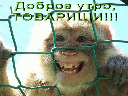 Thomas&Co - Медицинское качество. - Бодибилдинг форум AnabolicShops