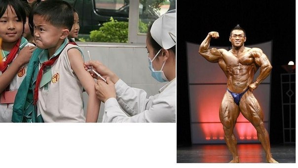 Thomas&Co - Медицинское качество. - Бодибилдинг форум AnabolicShops