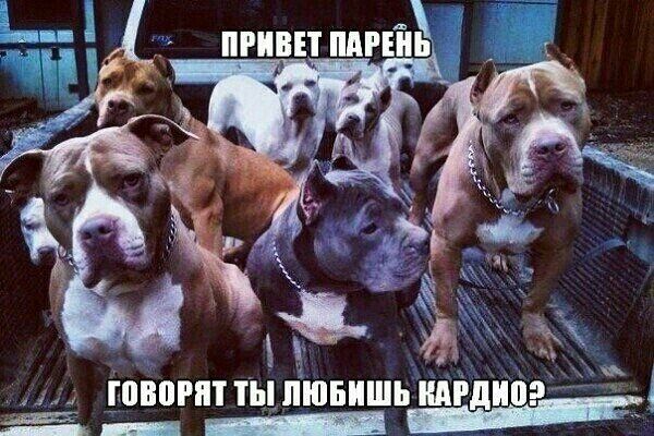 Pharmacentr.com МАГАЗИН ЗАКРЫТ - Бодибилдинг форум AnabolicShops