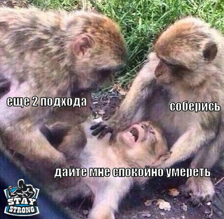 Pharmacentr.com МАГАЗИН ЗАКРЫТ - Бодибилдинг форум AnabolicShops